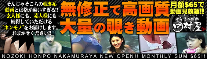 新のぞき本舗中村屋